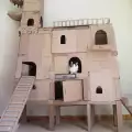 Стопанин на котка ѝ построи замък, за да е истински господар