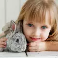 10 причини да имате заек за домашен любимец
