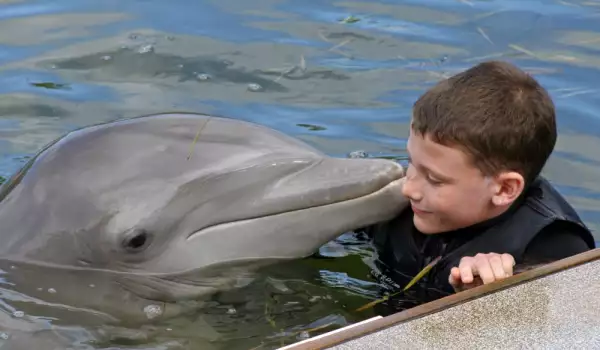Учени: Делфините са открили удивителен начин да се друсат