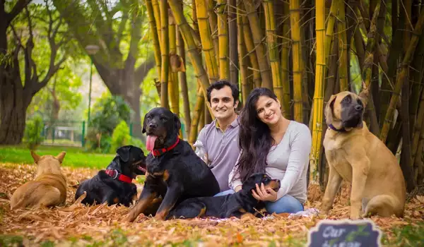 Индийка даде добър урок на бременните, които изоставят кучетата си