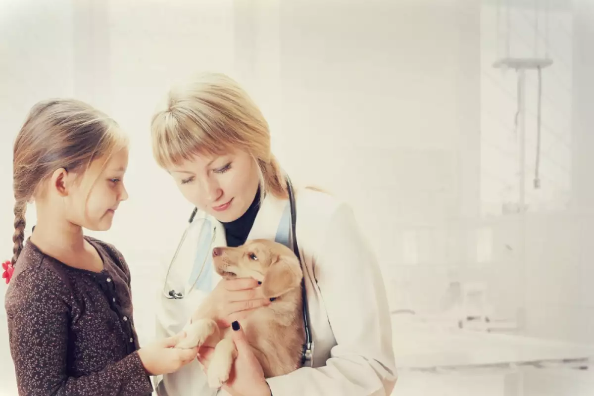 Даването на лекарства на вашето куче може да бъде мъчителен