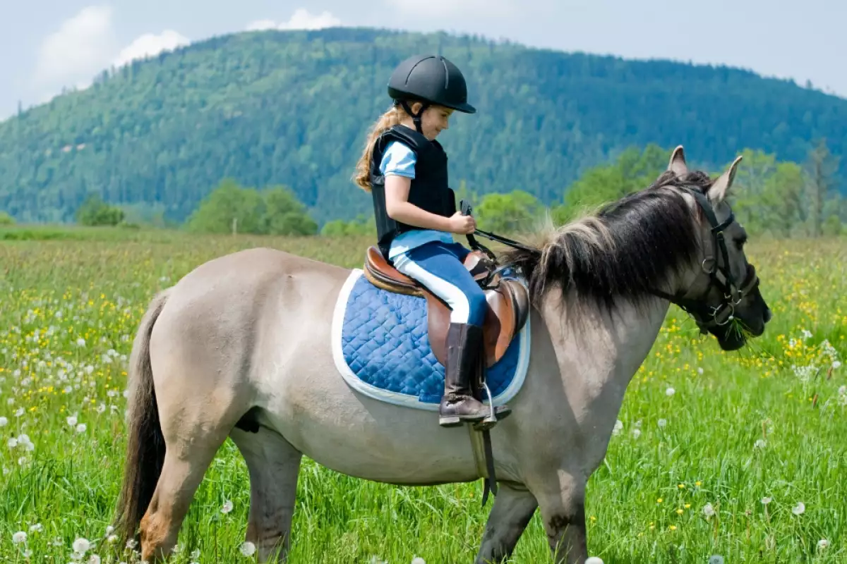 Конната езда с терапевтични цели се нарича хипотерапия и може