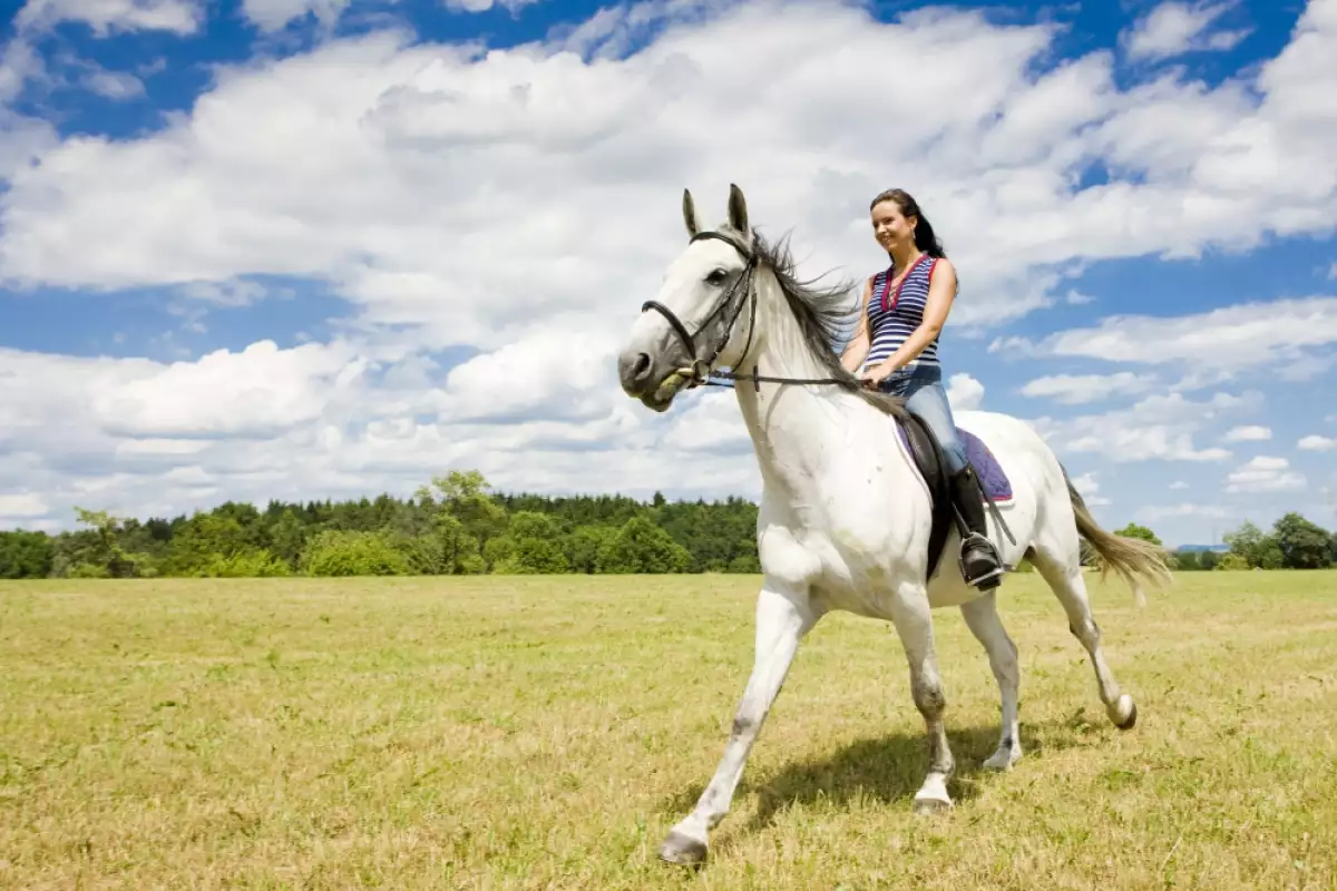 Конната езда е едно незабравимо преживяване и общуване с конете