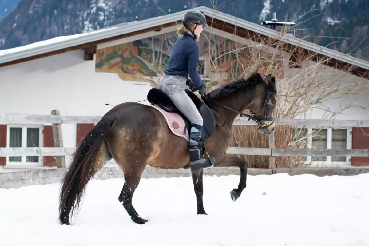 Докато зимата покрива пейзажа в мразовити нюанси собствениците на коне