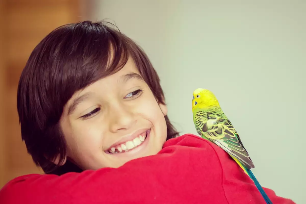 Папагалите често са един от най-забавните избори за домашен любимец.