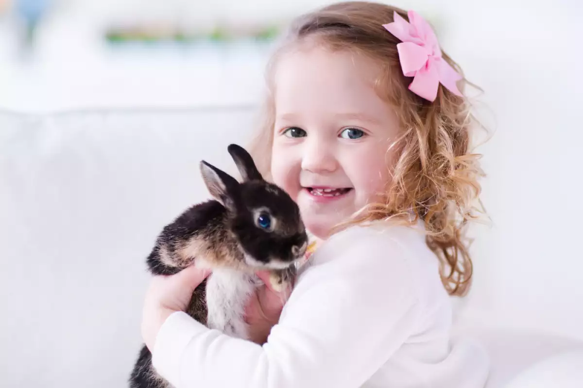 Зайците са едни от най миловидните пухкави и сладки домашни любимци