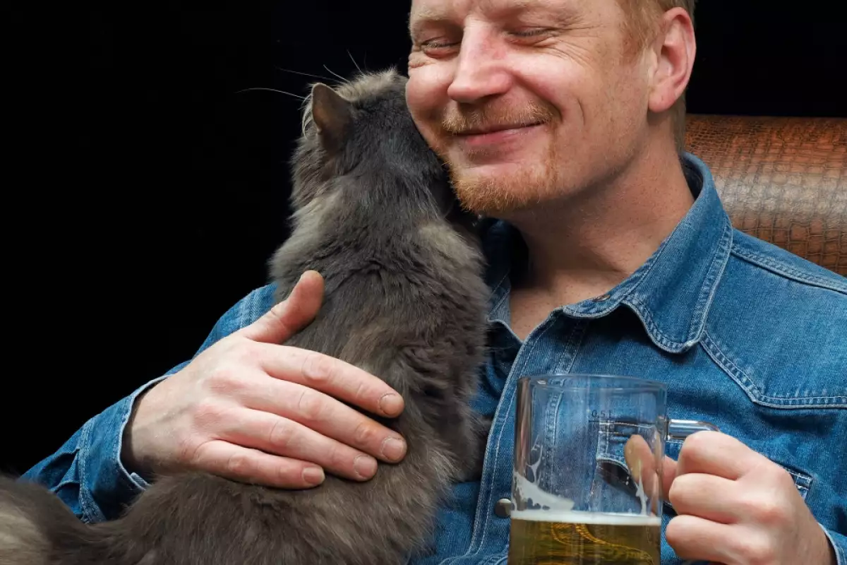 Забелязали ли сте че някои котки обичат бира Има котки
