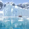 Любопитни факти за животните на Антарктида