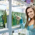 Помпа за аквариум - какво трябва да знаем