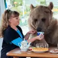 Руска двойка осинови мечка и живее с нея вече 23 години