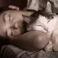 Трябва ли вашата котка да спи в леглото ви?