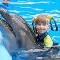 Франция забрани размножаването на пленени делфини и косатки