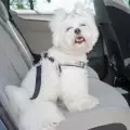 Безопасно с куче на път
