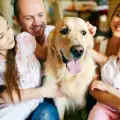 Как да подготвим кучето за гостите у дома