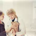 Как да даваме лекарство на кучето