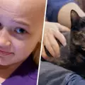 Коте преобрази последните дни на умиращо момиченце