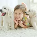 Основни грижи за малко куче