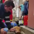Човек за пример: Пожарникар спаси куче с изкуствено дишане