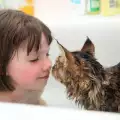 Коте промени живота на момиченце с аутизъм