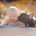 Куче и бебе се мислят за братя