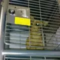 Столичанин заряза кучето си в клетка за багаж на супермаркет