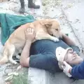 Вижте кучето Тони, което се вкопчи в прегръдка за своя ранен стопанин