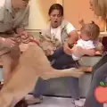 Лъв нападна малчуган в тв шоу