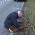 Сърцат мъж спаси блъсната сърна, лежаща край пътя