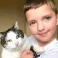 Коте с необикновена външност промени живота на момченце със същата съдба