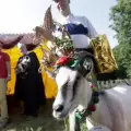 Избраха най-красивата коза в Литва