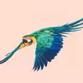 Екзотични папагали от цял свят долитат на изложба във Варна