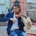 Пеещо куче е новата голяма атракция в Пловдив