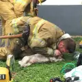 Истински герой! Пожарникар спаси куче с изкуствено дишане