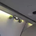 Змия се появи ненадейно в самолет