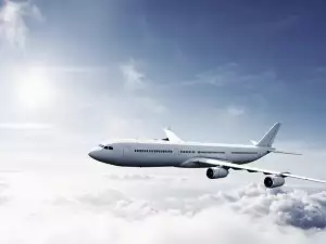 Опасно ли е за котката да лети със самолет