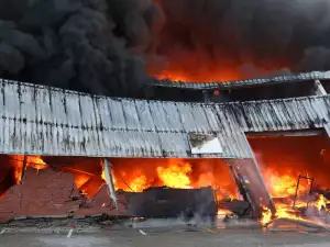 Шест кучета изгоряха в пожар в Кюстендилско