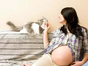 Как котката да свикне с бебето?