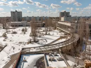 Чернобил станал рай за животните