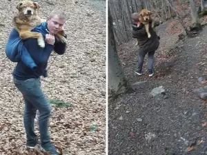 Холандци помогнаха на куче, бедстващо във Витоша