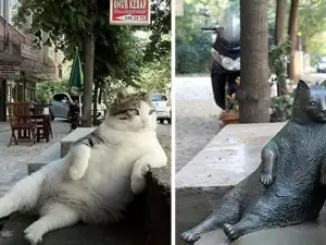 Любимата котка на Истанбул вече има своя статуя