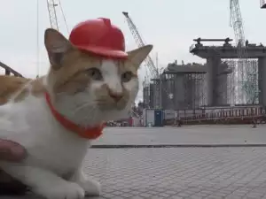 Котак стана почетен майстор на строеж