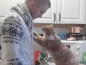 Вижте как изразява любовта си най-обичливото коте на света!
