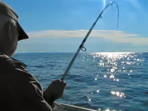 След 30 години риба в морето няма да има