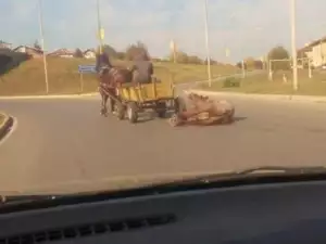 Роми-тирани влачиха вързан кон с каруца