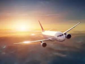 Пилот отклони полета на 200 души, за да спаси куче
