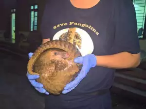 Във Виетнам спасиха животни, вързани в чували и натъпкани в автобус