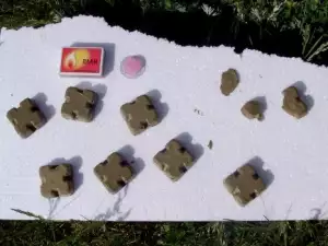 Внимание! Започва ваксинацията по въздух срещу бяс