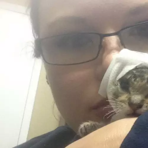 Никой не искаше да приближи това ранено коте. А само го вижте сега!
