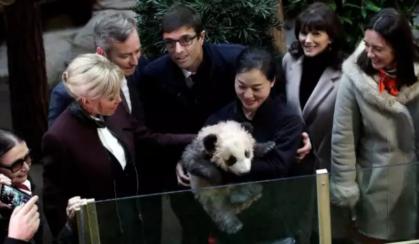 Първото бебе панда на Франция бе кръстено от Брижит Макрон