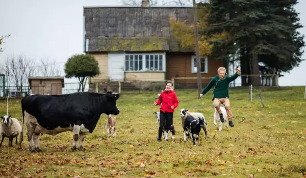 Фермата за домашни животни в Литва
